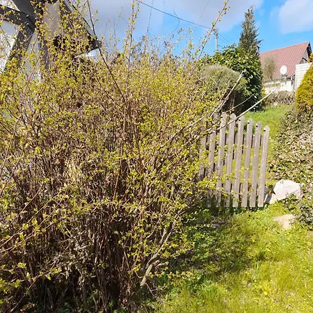 Ferien Im Kraeuterstuebchen Casa de Férias